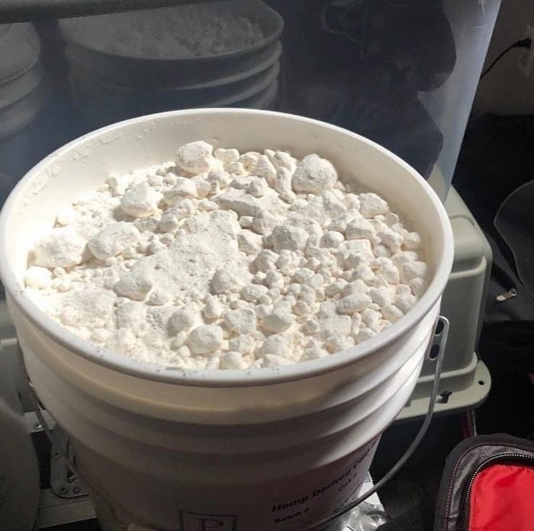 Buy CBD ISOLATE POWDER - Image 2