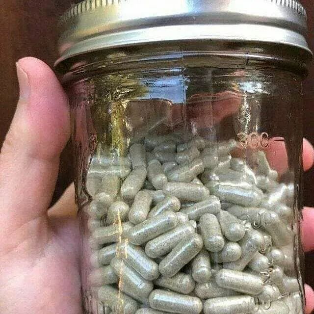 Magic Mushroom Microdose Capsules - (Focus/Energy) | Shroom Bros - Image 2